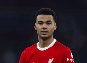 开云体育中国-利物浦客场垄断榜首，红军绝地反击稳定不胜之困的简单介绍