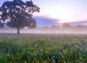 开云体育中国-奥地利遭遇悲情失利，心情沉重