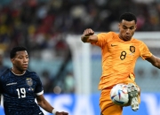 开云体育官方网站-包含荷兰遭遇挫折，与挪威战平成绩陷入僵局的词条