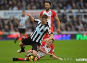 开云体育app-纽卡斯尔联队主场击败布莱顿队，鹰队成功力挫强敌的简单介绍