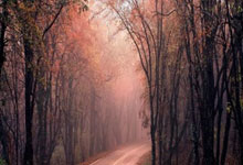 开云体育中国-勇士B队轻取灰熊，巴图姆绝境逆转——一场精彩纷呈的篮球盛宴