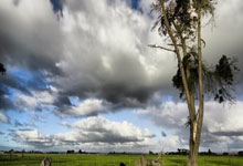 开云平台-美国网球队绝杀英国网球队，瓦林卡统治全场——网球界的震撼瞬间与背后故事