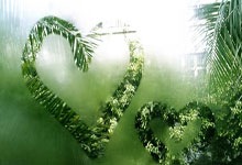 开云体育-巴西男篮逆转掘金，库里打破历史纪录