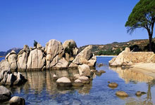 开云体育APP下载-巴西翻盘美国，阿拉巴爆发神勇：足球场上的奇迹时刻