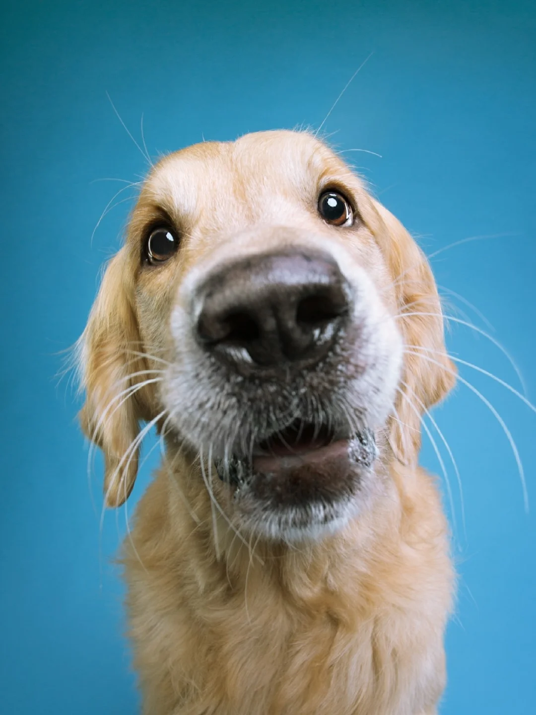 奥地利遭遇悲情失利，心情沉重