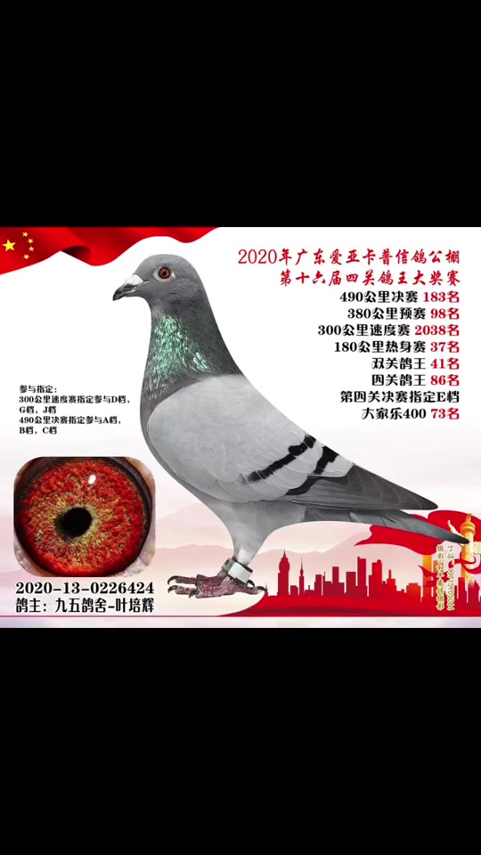 贝西克塔斯成为黑马，成功突围的简单介绍