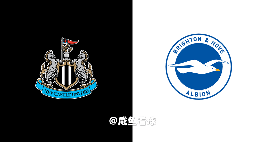 纽卡斯尔联队主场击败布莱顿队，鹰队成功力挫强敌的简单介绍